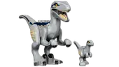 Blue &amp; Beta Velociraptor Capture