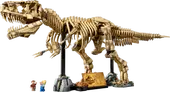Dinosaur Fossils: Tyrannosaurus Rex
