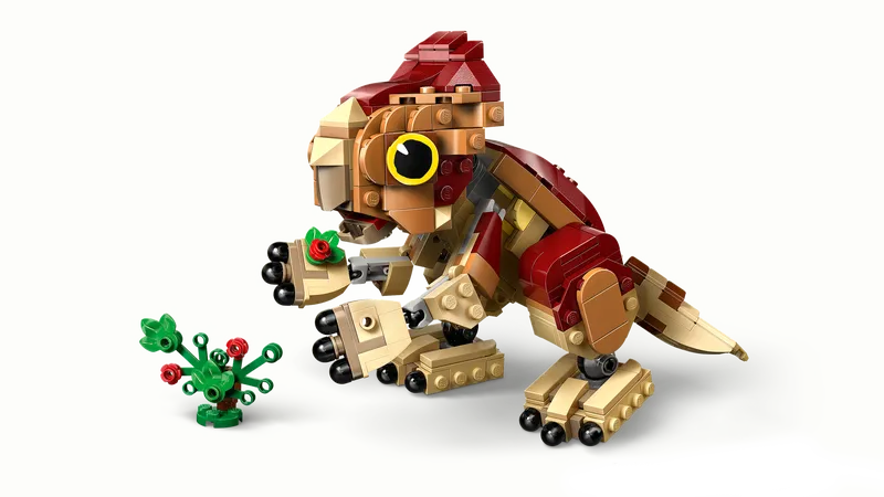 Baby Dinosaur Dolores: Aquilops