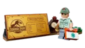 Dinosaur Fossils: Triceratops