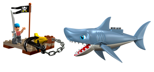 Shark Attack